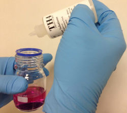 WD Hardness Testing WD Hardness Testing